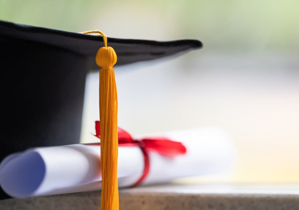 An insight of University Degree Forgery in the UAE