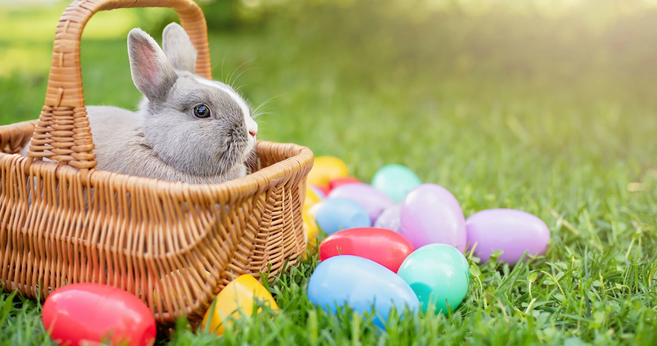 Easter Bunny Pictures: Meaning, Magic, and Timeless Traditions